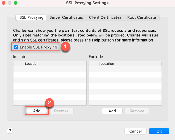 SSL Proxy settings